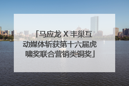 马应龙 X 丰巢互动媒体斩获第十六届虎啸奖联合营销类铜奖