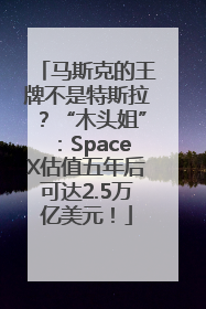 马斯克的王牌不是特斯拉？“木头姐”：SpaceX估值五年后可达2.5万亿美元！