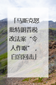 马斯克怒批特朗普税改法案“令人作呕”，白宫回击