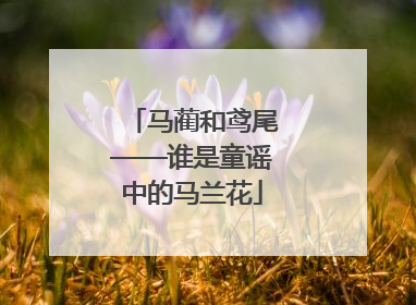 马蔺和鸢尾——谁是童谣中的马兰花