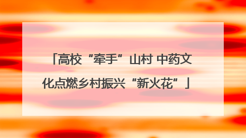 高校“牵手”山村 中药文化点燃乡村振兴“新火花”