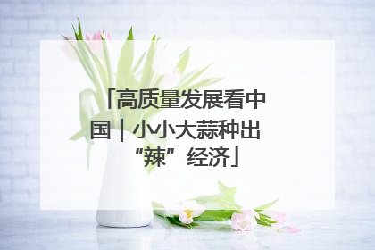 高质量发展看中国｜小小大蒜种出“辣”经济