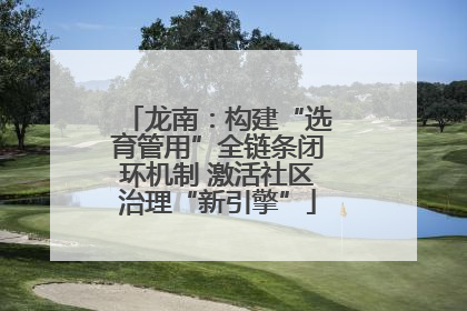 龙南：构建“选育管用”全链条闭环机制 激活社区治理“新引擎”