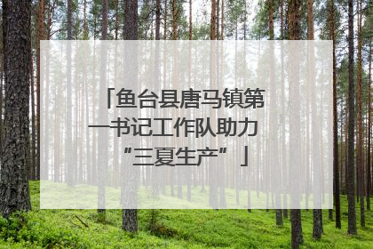 鱼台县唐马镇第一书记工作队助力“三夏生产”