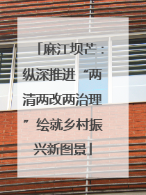 麻江坝芒：纵深推进“两清两改两治理”绘就乡村振兴新图景