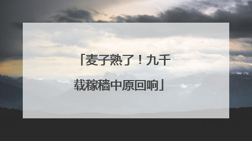 麦子熟了！九千载稼穑中原回响