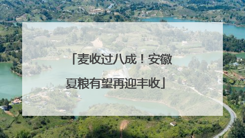 麦收过八成！安徽夏粮有望再迎丰收