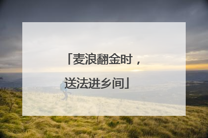 麦浪翻金时，送法进乡间