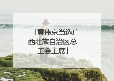 黄伟京当选广西壮族自治区总工会主席