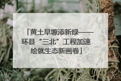 黄土旱塬添新绿——环县“三北”工程加速绘就生态新画卷