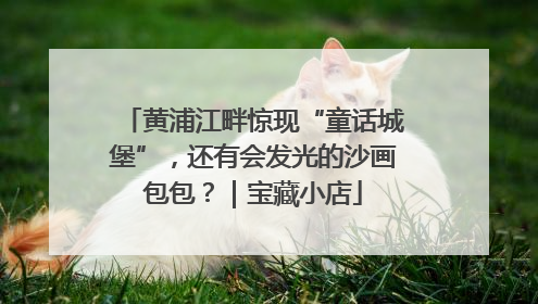 黄浦江畔惊现“童话城堡”，还有会发光的沙画包包？｜宝藏小店