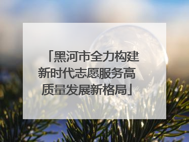 黑河市全力构建新时代志愿服务高质量发展新格局
