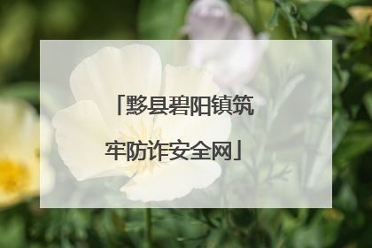 黟县碧阳镇筑牢防诈安全网