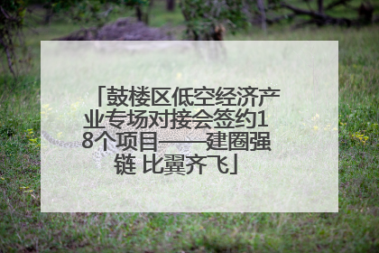 鼓楼区低空经济产业专场对接会签约18个项目——建圈强链 比翼齐飞