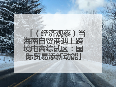 （经济观察）当海南自贸港遇上跨境电商综试区：国际贸易添新动能