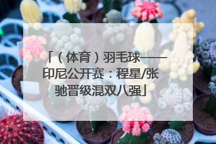（体育）羽毛球——印尼公开赛：程星/张驰晋级混双八强