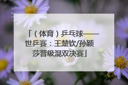 （体育）乒乓球——世乒赛：王楚钦/孙颖莎晋级混双决赛