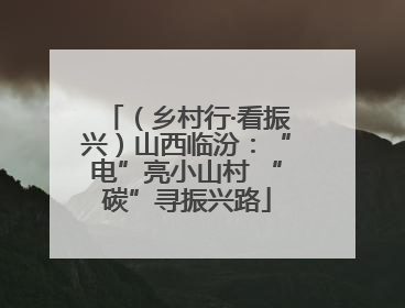 （乡村行·看振兴）山西临汾：“电”亮小山村 “碳”寻振兴路