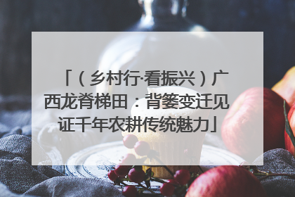 （乡村行·看振兴）广西龙脊梯田：背篓变迁见证千年农耕传统魅力