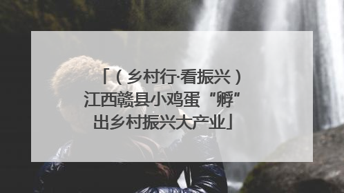 （乡村行·看振兴）江西赣县小鸡蛋“孵”出乡村振兴大产业