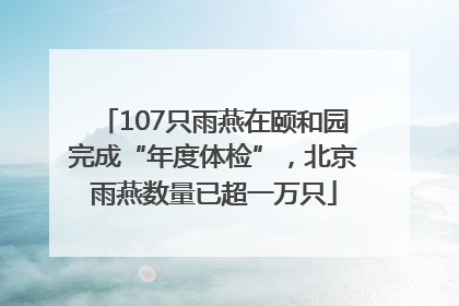107只雨燕在颐和园完成“年度体检”，北京雨燕数量已超一万只