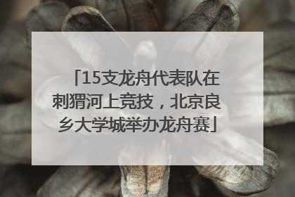 15支龙舟代表队在刺猬河上竞技，北京良乡大学城举办龙舟赛