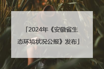 2024年《安徽省生态环境状况公报》发布
