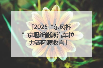 2025“东风杯”京堰新能源汽车拉力赛圆满收官