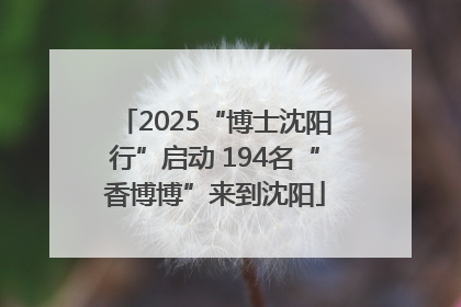 2025“博士沈阳行”启动 194名“香博博”来到沈阳