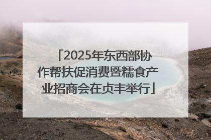 2025年东西部协作帮扶促消费暨糯食产业招商会在贞丰举行