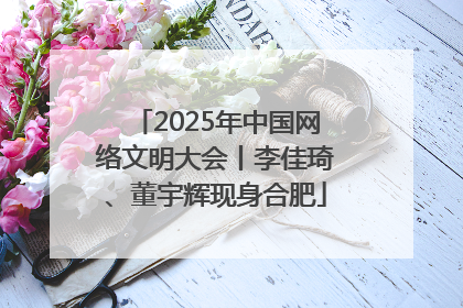 2025年中国网络文明大会丨李佳琦、董宇辉现身合肥