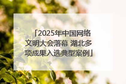 2025年中国网络文明大会落幕 湖北多项成果入选典型案例