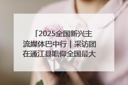 2025全国新兴主流媒体巴中行｜采访团在通江县瞻仰全国最大红军烈士陵园