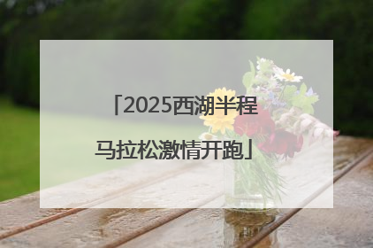2025西湖半程马拉松激情开跑