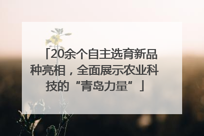 20余个自主选育新品种亮相，全面展示农业科技的“青岛力量”