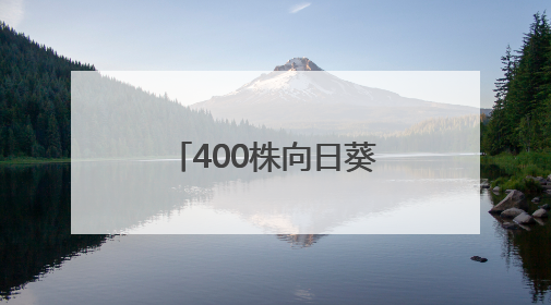400株向日葵空降武汉校园