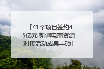 41个项目签约4.5亿元 新疆电商资源对接活动成果丰硕