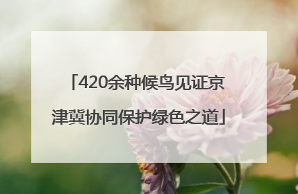 420余种候鸟见证京津冀协同保护绿色之道