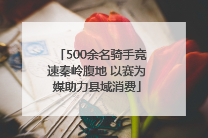 500余名骑手竞速秦岭腹地 以赛为媒助力县域消费