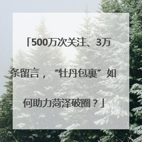 500万次关注、3万条留言，“牡丹包裹”如何助力菏泽破圈？