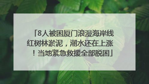 8人被困厦门浪漫海岸线红树林淤泥，潮水还在上涨！当地紧急救援全部脱困