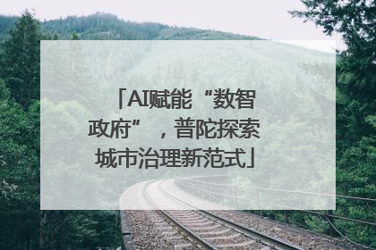 AI赋能“数智政府”，普陀探索城市治理新范式