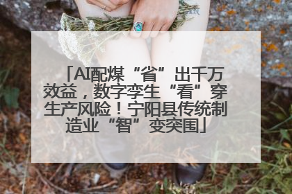 AI配煤“省”出千万效益，数字孪生“看”穿生产风险！宁阳县传统制造业“智”变突围