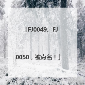 FJ0049、FJ0050，被点名！