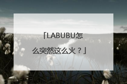 LABUBU怎么突然这么火？